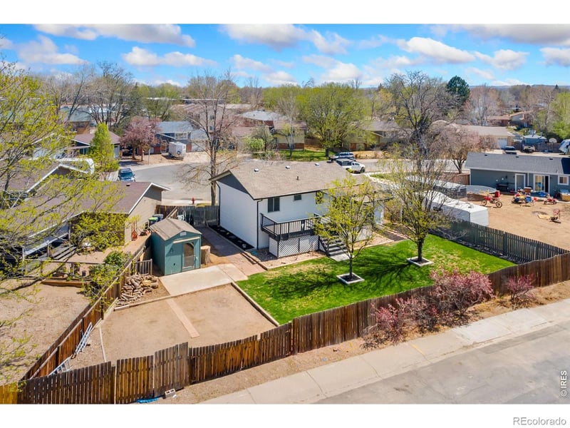 803 Table Mountain Ct, Windsor, CO 80550