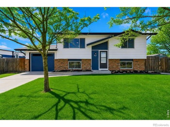 803 Table Mountain Ct, Windsor, CO 80550