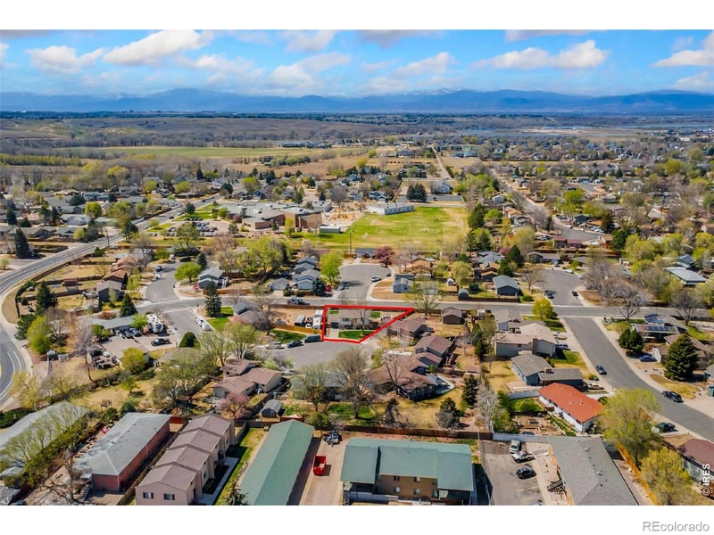 803 Table Mountain Ct, Windsor, CO 80550