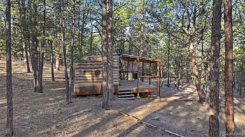 163 Ouray Rd, Florissant, CO 80816