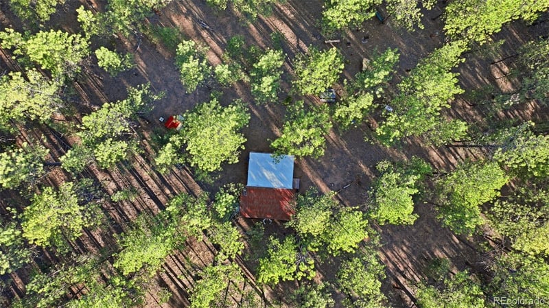 163 Ouray Rd, Florissant, CO 80816