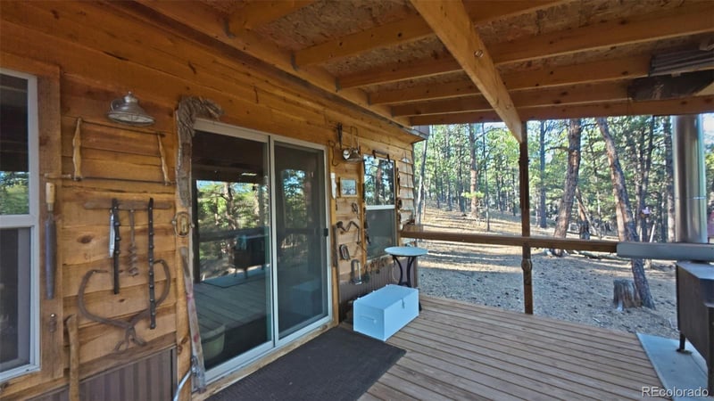 163 Ouray Rd, Florissant, CO 80816