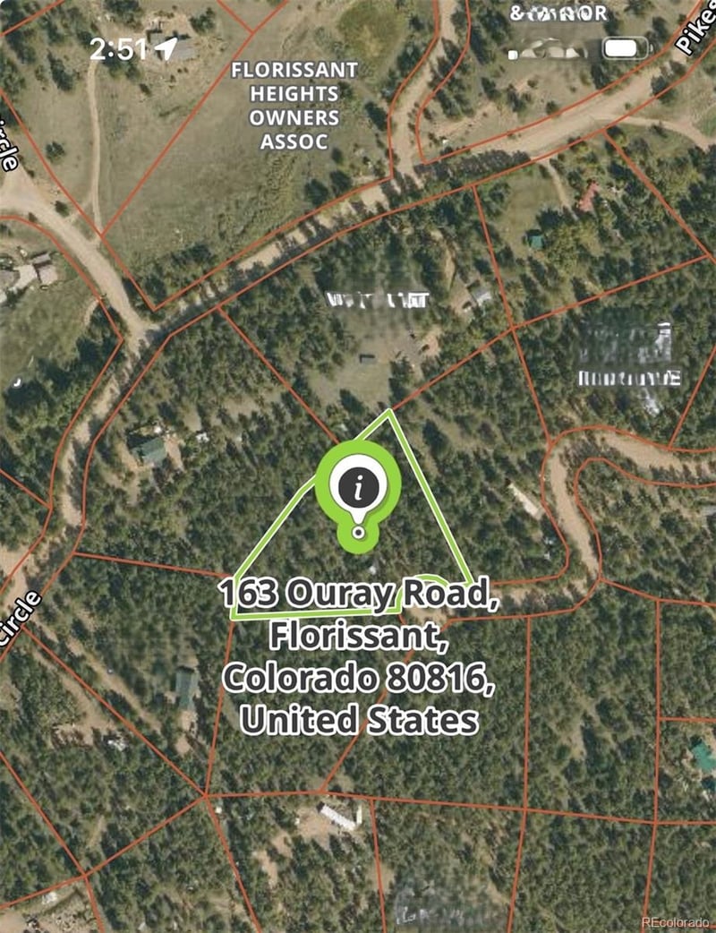 163 Ouray Rd, Florissant, CO 80816