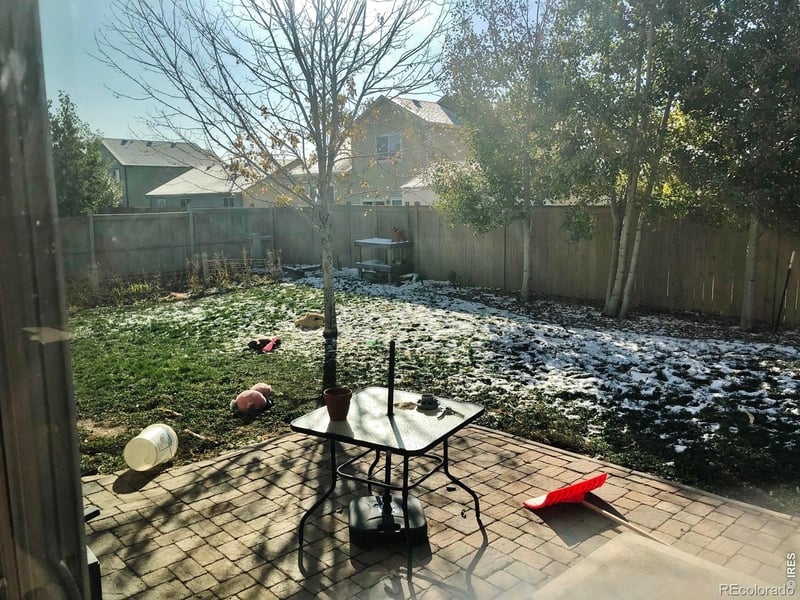 3243 Ambush Dr, Wellington, CO 80549