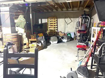 3243 Ambush Dr, Wellington, CO 80549