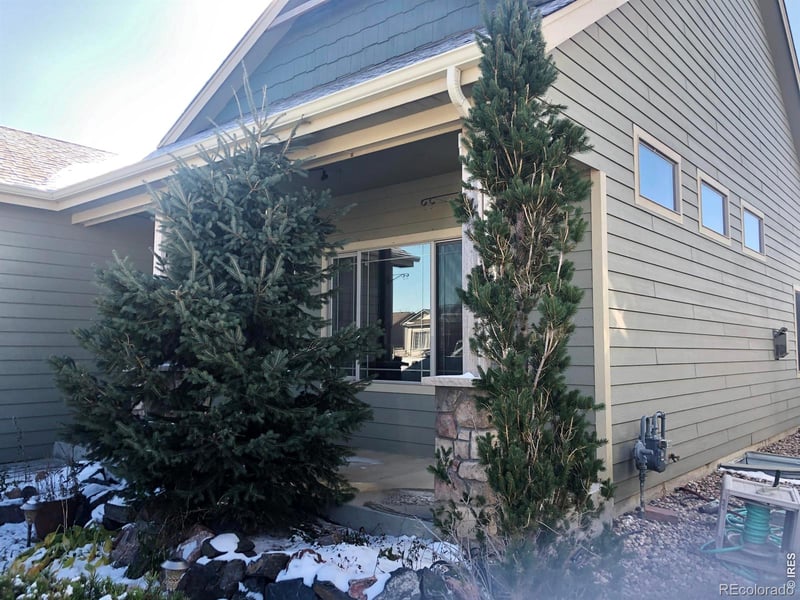 3243 Ambush Dr, Wellington, CO 80549