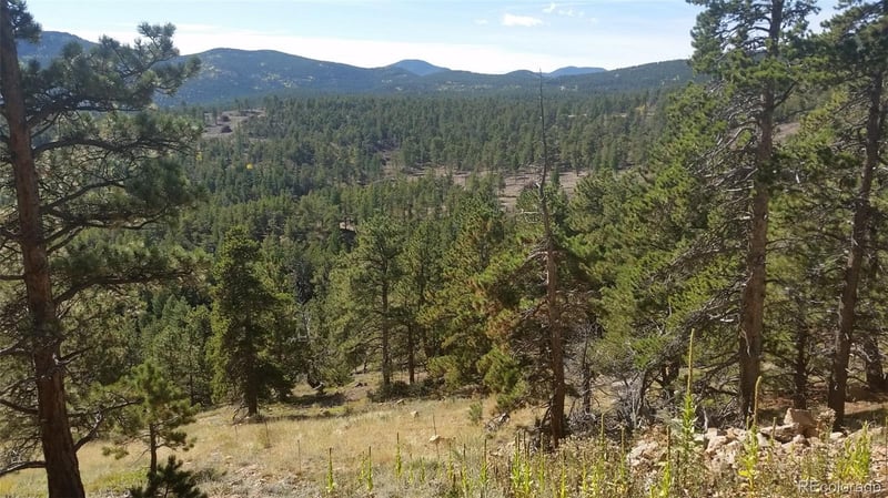 32778 Janelle Ln, Golden, CO 80403