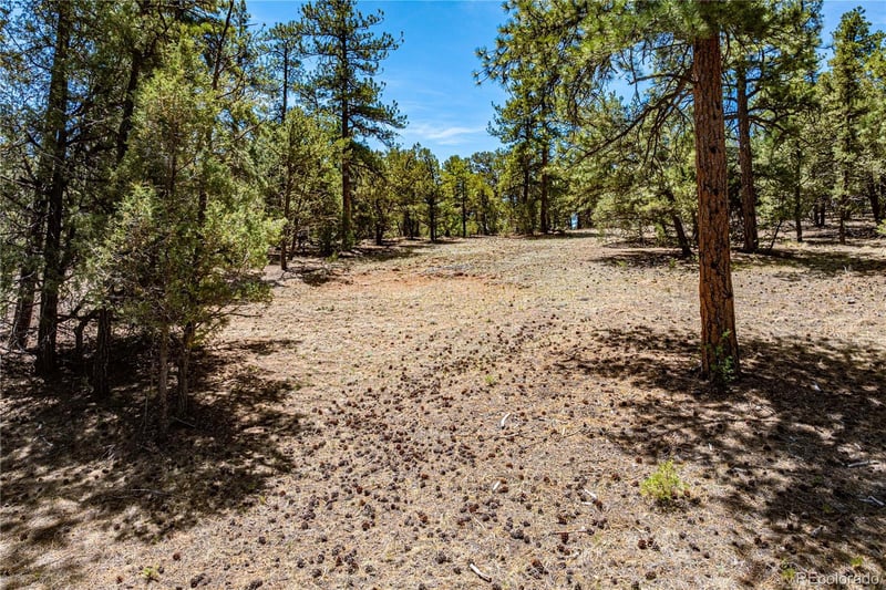 2417 Indian Wells Rd, Cotopaxi, CO 81223