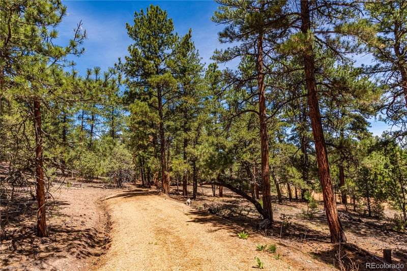 2417 Indian Wells Rd, Cotopaxi, CO 81223