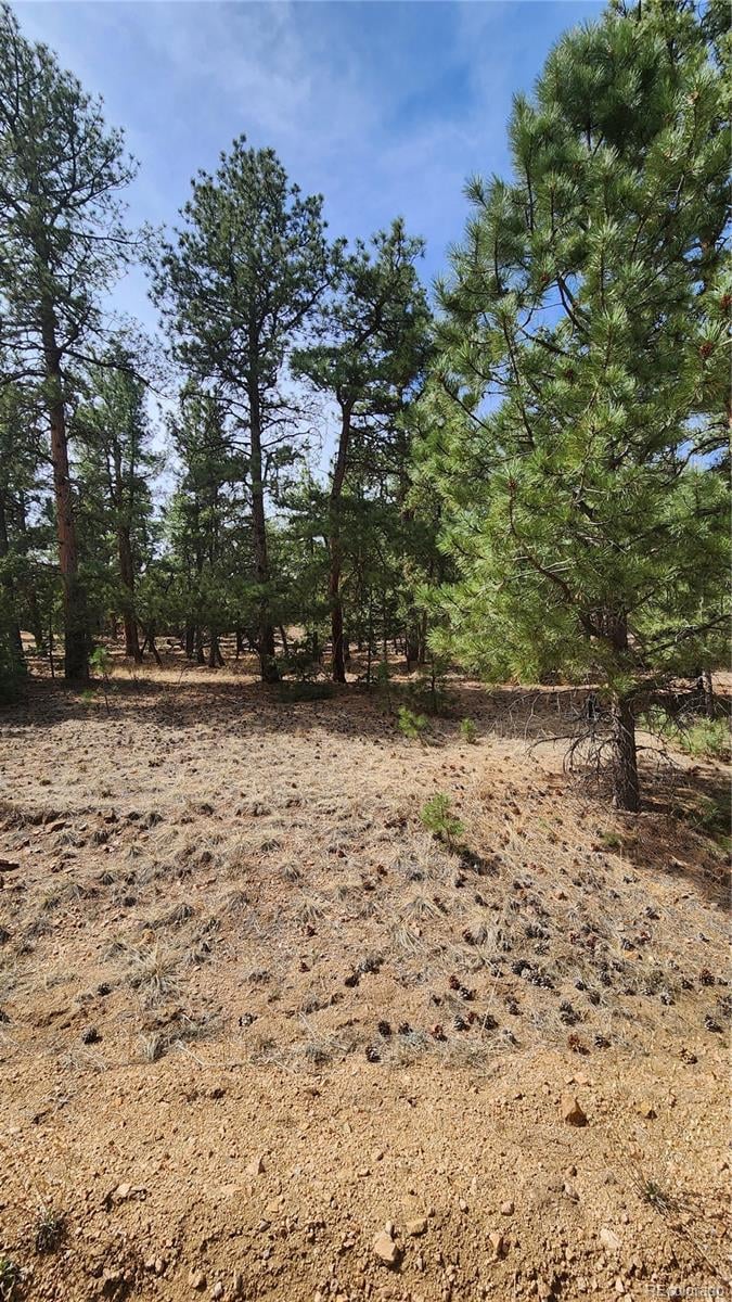 2417 Indian Wells Rd, Cotopaxi, CO 81223