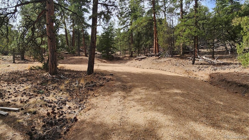 2417 Indian Wells Rd, Cotopaxi, CO 81223
