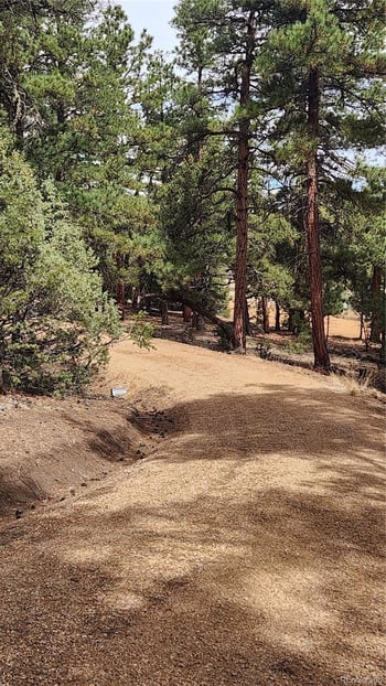 2417 Indian Wells Rd, Cotopaxi, CO 81223