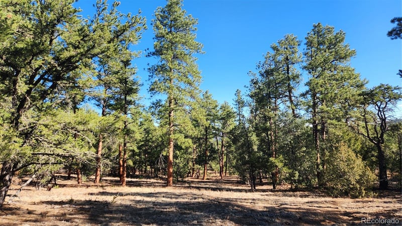 2417 Indian Wells Rd, Cotopaxi, CO 81223