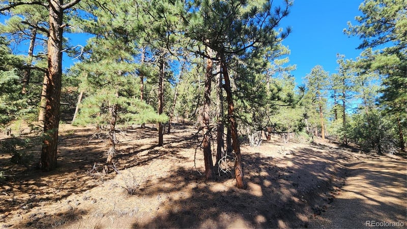 2417 Indian Wells Rd, Cotopaxi, CO 81223