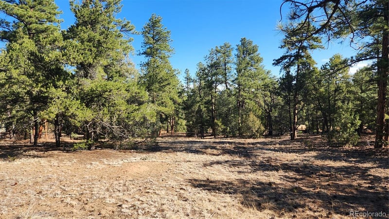 2417 Indian Wells Rd, Cotopaxi, CO 81223