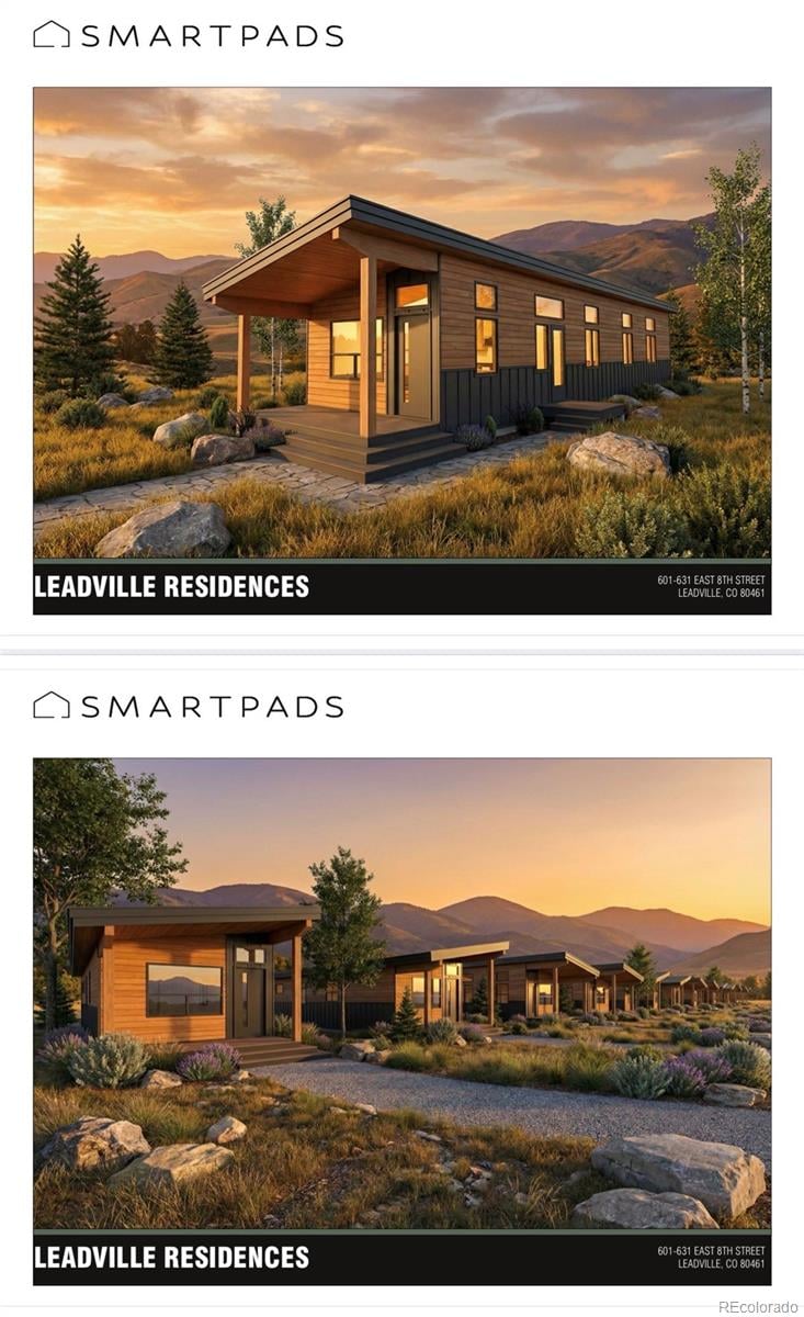 613 8th St, Leadville, CO 80461