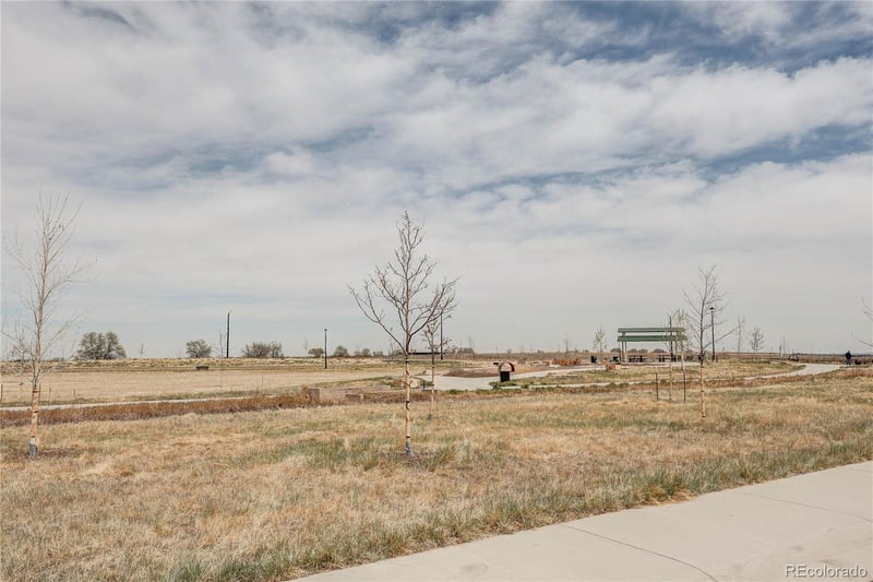 4836 149th Ave, Thornton, CO 80602