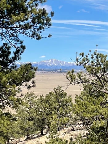 2030 Puma Hills Rd, Lake George, CO 80827