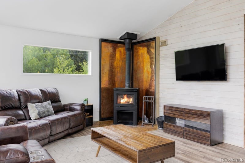 133 Gold Run Rd, Alma, CO 80440