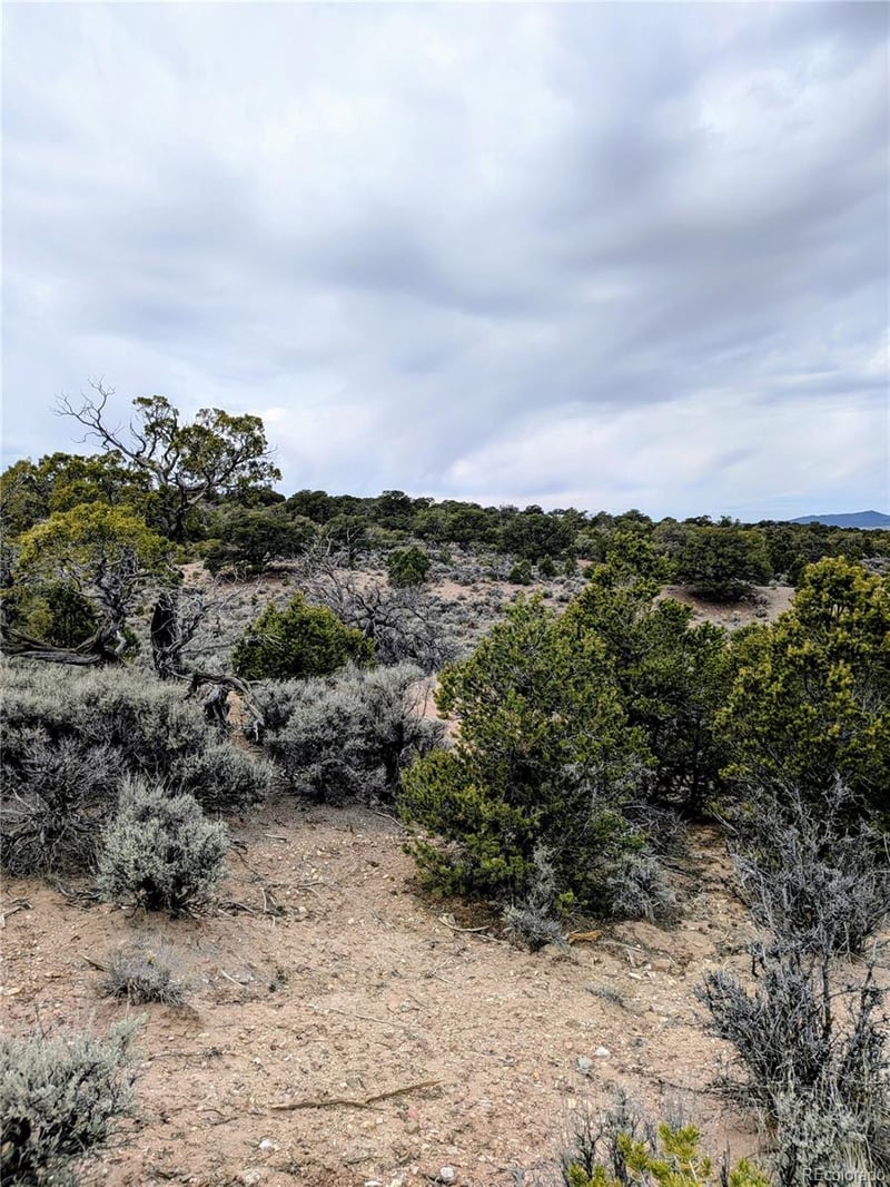 Lot 3589 Freylinghuysen Rd, Fort Garland, CO 81133