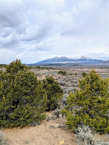 Lot 3589 Freylinghuysen Rd, Fort Garland, CO 81133