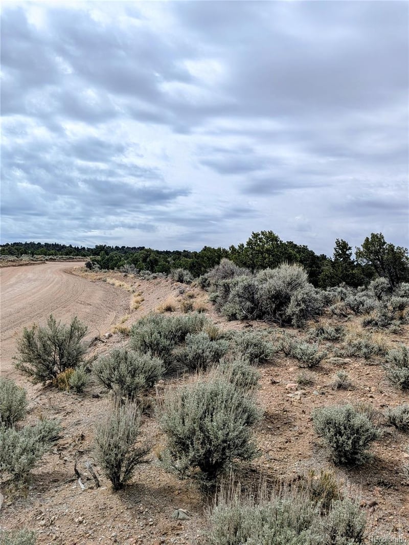 Lot 3589 Freylinghuysen Rd, Fort Garland, CO 81133