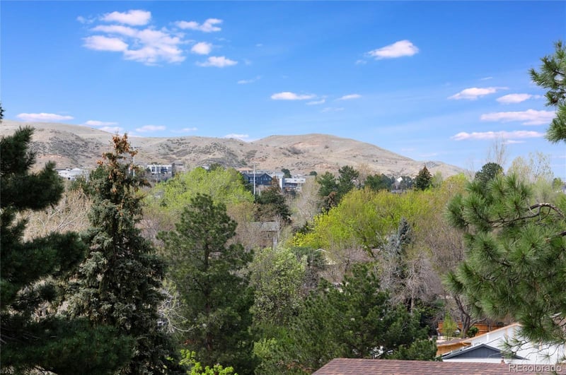 1221 Ward Ct, Lakewood, CO 80228