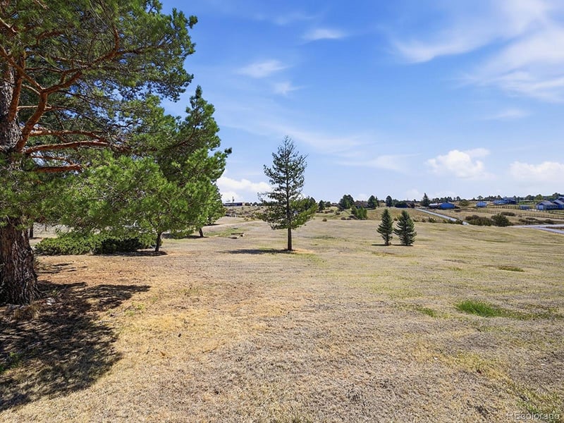 11481 Antelope Ln, Parker, CO 80138