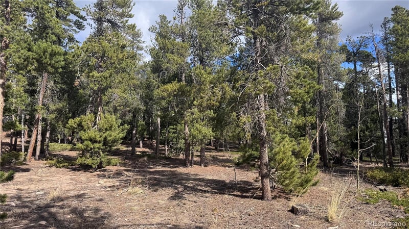 65 Dory Cir, Black Hawk, CO 80422