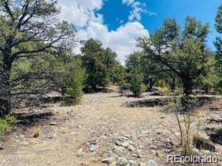 65 Mill Rn, Alamosa, CO 81101