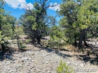 65 Mill Rn, Alamosa, CO 81101