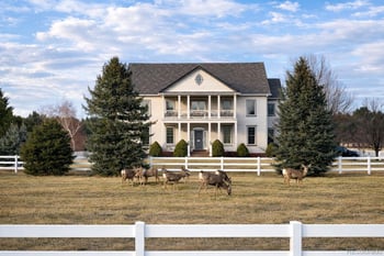 458 Grey Squirrel Way, Franktown, CO 80116