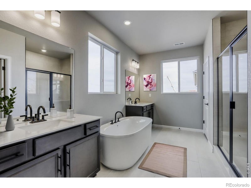 662 Noola St, Windsor, CO 80550