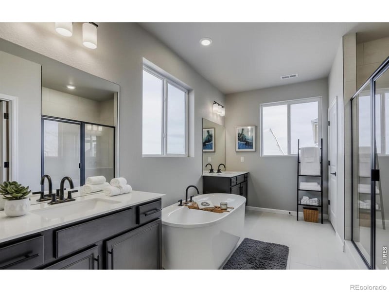 662 Noola St, Windsor, CO 80550