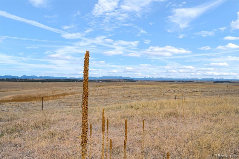 2 County Road 94, Elbert, CO 80106