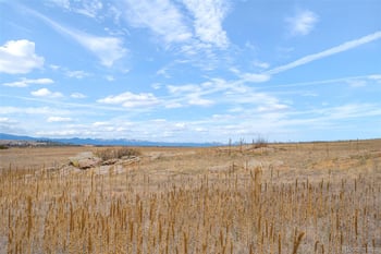 2 County Road 94, Elbert, CO 80106
