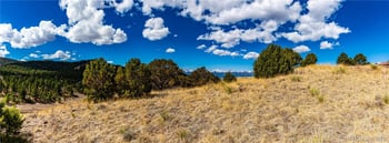 177 Bunker Hill Cir, Silver Cliff, CO 81252