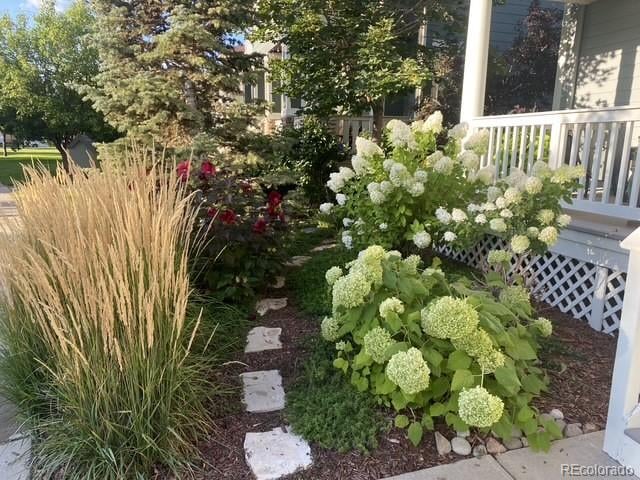 2783 Havana St, Denver, CO 80238