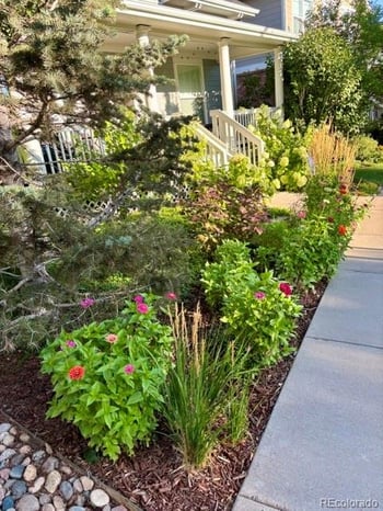 2783 Havana St, Denver, CO 80238