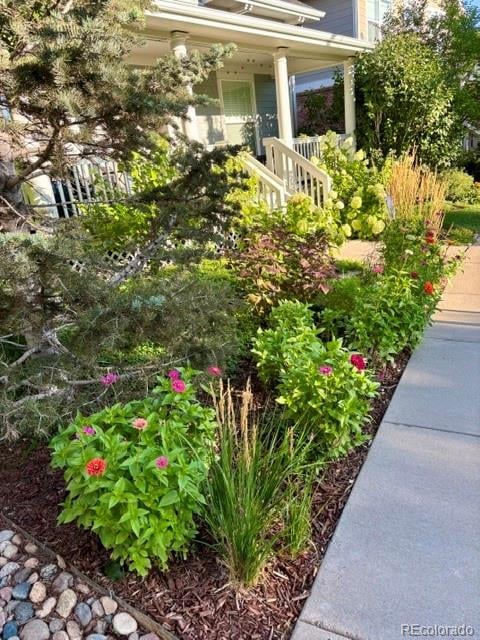 2783 Havana St, Denver, CO 80238