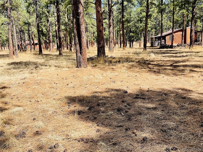 Blk 4 Lot 6, Weston, CO 81091