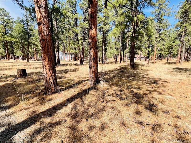 Blk 4 Lot 6, Weston, CO 81091
