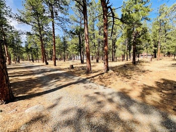 Blk 4 Lot 6, Weston, CO 81091