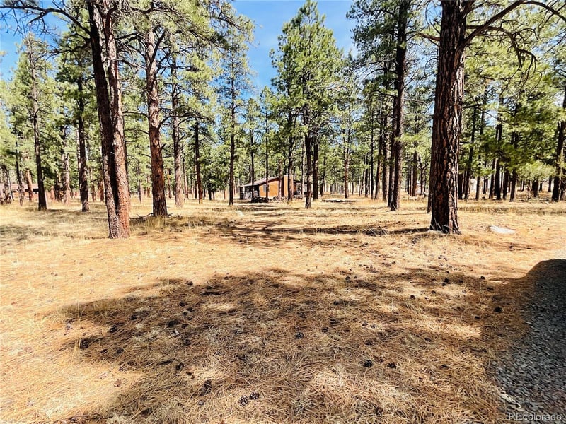 Blk 4 Lot 6, Weston, CO 81091