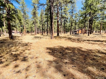 Blk 4 Lot 6, Weston, CO 81091