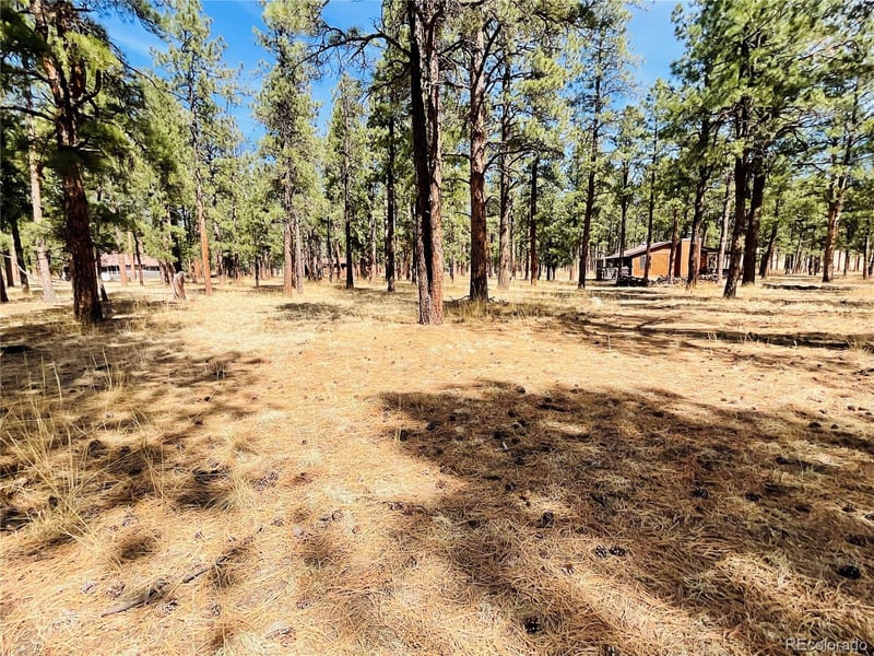 Blk 4 Lot 6, Weston, CO 81091