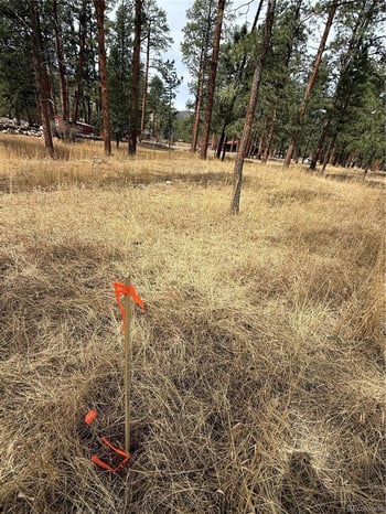 Blk2 Lot 7, Weston, CO 81091