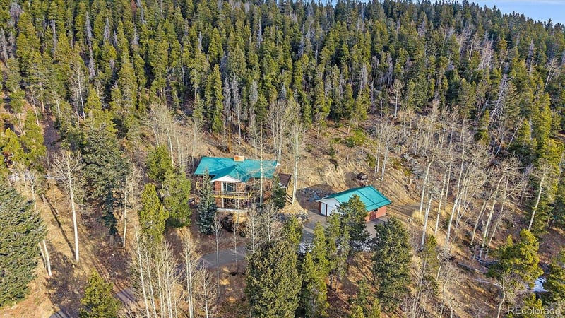 66 Lodgepole Cir, Evergreen, CO 80439