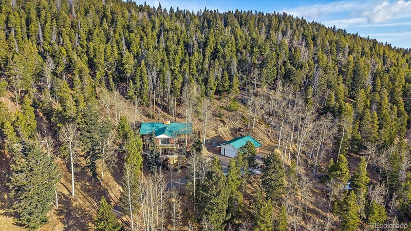 66 Lodgepole Cir, Evergreen, CO 80439