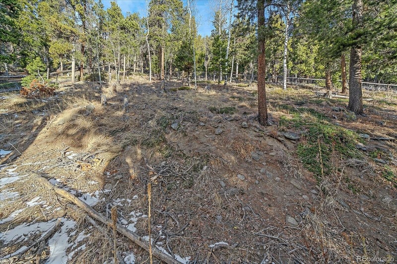 66 Lodgepole Cir, Evergreen, CO 80439